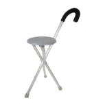 walking seat and cane