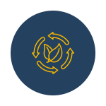 sustainability & innovation